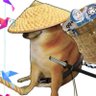 tiandiman's profile picture