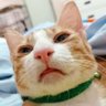 JoeJacker 的头像