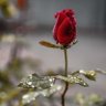 Фото профиля निरीह नागरिक