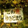 暁日ちゃん 的头像