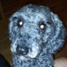 Profilbild von Mc M