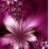 Фото профиля Patrizia N.