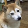 Profilbild von バルバル星人