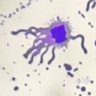 Poseidon's profile picture