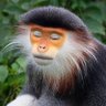 LZA profil fotoğrafı