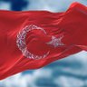 Ayşe Topcu's profile picture