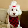 GucciPooh🎀🐾's profile picture