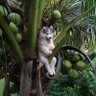 Фото профиля Joji