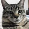 Fay_leehon profil fotoğrafı