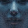 Profilbild von VELA