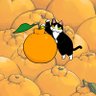 Profilbild von chiroru