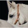 Фото профиля Ceren Kaplan