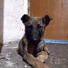 Lowsson Lo Ro profil fotoğrafı