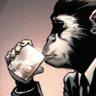 Profilbild von Rob