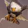 U_C's profile picture