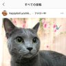 Фото профиля みさ