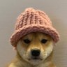 Profilbild von Love Monkey