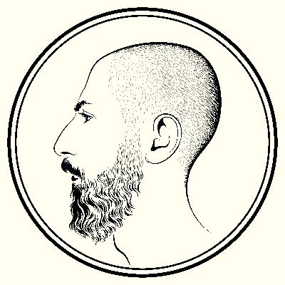Daniel Bursan's profile picture