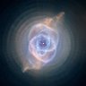 Star Dust profil fotoğrafı
