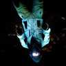 Фото профиля Charro_Assasin