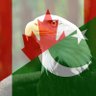 فقیرِ راہگزر 的头像