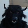 Cayne Wolfdragon's profile picture