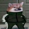 Marcos's profile picture