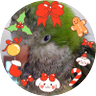 🐥フクちゃん profil fotoğrafı