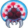 Ninjamin's profile picture