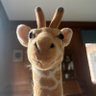 Фото профиля Jeffrey The Giraffe