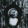 颱風丸's profile picture
