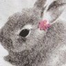 Фото профиля 雪奈
