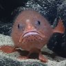 Profilbild von Shun🗿🗿🗿