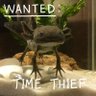 bloop bloop profil fotoğrafı