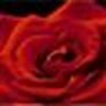 Profilbild von S Ward