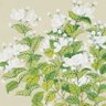 飘 的头像
