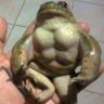 Mateus 的头像