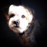 Jay Super's profile picture