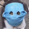 Mr 的头像