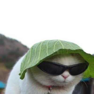 Coach Harry's profile picture