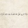 وداي جارف's profile picture