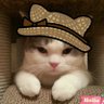 Profilbild von 栗あんみつ