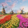 Фото профиля Doekoen