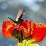Pier profil fotoğrafı