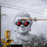 The Belligerent Occupant's profile picture