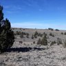 New Mexico Rockhound's profile picture