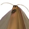 ZERKAL's profile picture