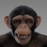 neowpop profil fotoğrafı