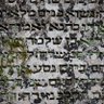 BROZ🇮🇱 profil fotoğrafı