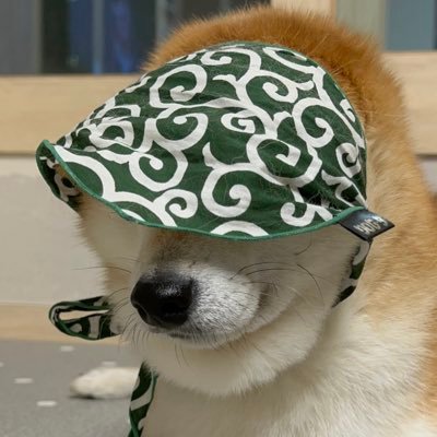 대복's profile picture
